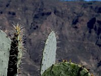 Gran Canaria  Tochtje door het binnenland