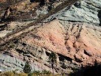 Gran Canaria  Tochtje door het binnenland
