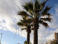Gran Canaria  Vlakbij de boulevard