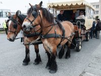 2013 Vakantie Nederland - Solent  Sightseeing met paard en wagen in Duinkerken : 2013, Duinkerken, Zeilen, vakantie