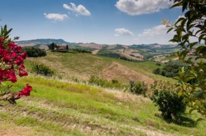 Le Marche